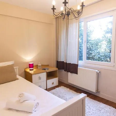Stunning Duplex With Amazing Bosphorus View Apartment