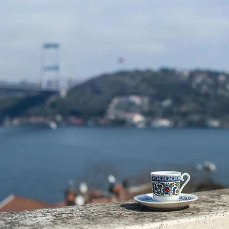 Stunning Duplex With Amazing Bosphorus View *